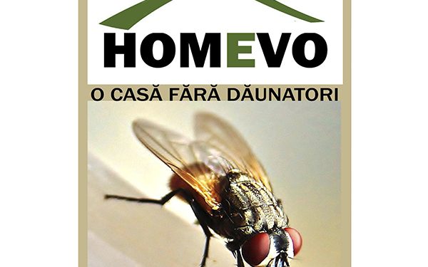 Credeai ca ai incercat toate solutiile? Cumpara capcana Homevo pentru muste si scapi de grija asta