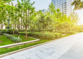 Se strang semnaturi pentru crearea unui parc in zona Vitan