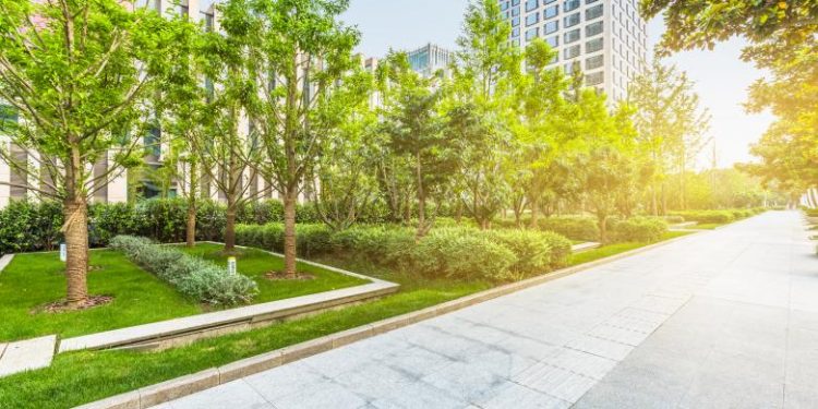Se strang semnaturi pentru crearea unui parc in zona Vitan