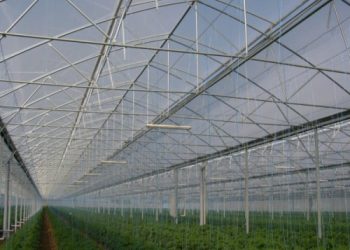Bucura-te de cele mai bogate recolte in sere si solarii, cu o folie pentru solar de 170 microni
