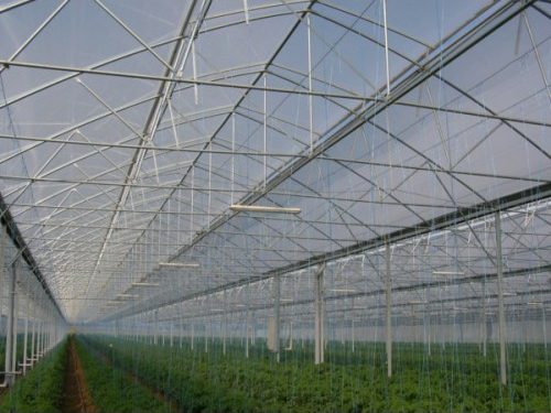 Bucura-te de cele mai bogate recolte in sere si solarii, cu o folie pentru solar de 170 microni