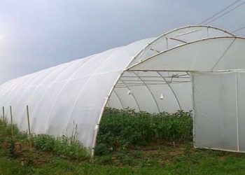Cele doua materiale importante pentru cresterea legumelor in sezonul rece sunt policarbonatul si folia pentru solarii